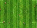 Gioco Virtual Football Cup 2010