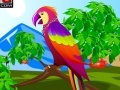 Gioco Decor the Cute Parrot