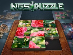 Gioco NGS Puzzle