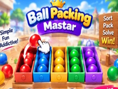 Gioco Packing Master Puzzle