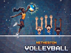 Gioco Netherton Volleyball