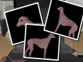 Gioco Greyhound Tycoon