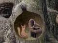 Gioco Forest sounds