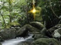 Gioco Rambo: The Fight Continues