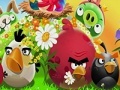 Gioco Angry Birds and The Numbers
