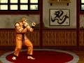 Gioco Art of Fighting