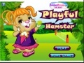 Gioco Playful Hamster