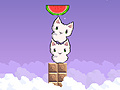 Gioco Cat cat watermelon