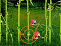 Gioco Aderans Forest