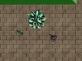 Gioco Age of Ants