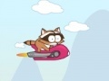 Gioco Crazy raccoon