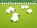 Gioco Count the Sheep