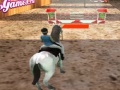 Gioco Horse Jumping 3D