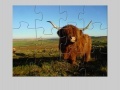 Gioco Highland Cow Jigsaw