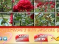 Gioco Puzzle Craze - Rose Garden