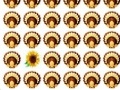 Gioco Thanksgiving Day Matching Game
