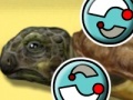Gioco Turtle Care