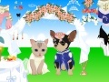 Gioco Pet Wedding Dress up