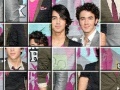 Gioco Image Disorder Jonas Brothers