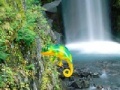 Gioco Colorful Chameleon Sniper