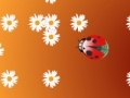 Gioco Ladybug and flower