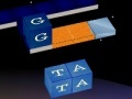 Gioco WordKnot