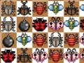 Gioco Match the Bugz