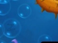 Gioco Fish Alphabet