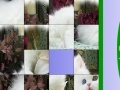 Gioco Sweet White Cat Slide Puzzle