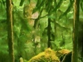 Gioco Escape from the cage of a lion