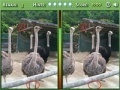 Gioco Spot the Difference 2