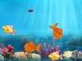 Gioco Match the fish pairs