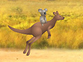 Gioco Outback Winds