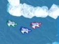 Gioco Polar Bear Racing