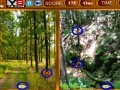 Gioco Forest Similarities Game