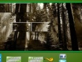 Gioco Puzzle Craze Dark Forest
