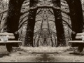 Gioco Four Seasons Differences