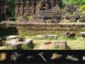 Gioco Vietnam's Quest
