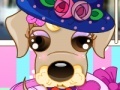 Gioco Puppy Stylist