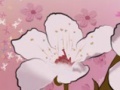 Gioco Spring Flowers