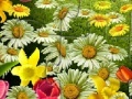 Gioco Nature Flowers Puzzle