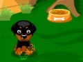 Gioco Sweet Dog