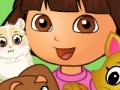 Gioco Dora pets care