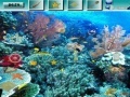 Gioco Underwater World G2R
