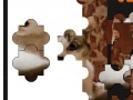 Gioco beautiful Cat jigsaw puzzle