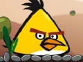 Gioco Angry Bird Super Puzzle