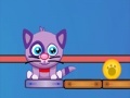 Gioco Cat Shmat