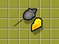 Gioco Krysik rawfoodist
