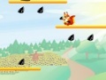 Gioco Squirrel