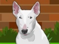 Gioco Dress up Bull Terrier Dog
